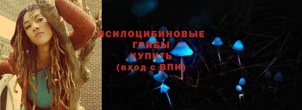 кокс Корсаков