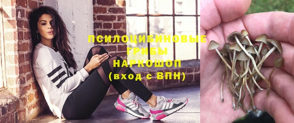 кокс Корсаков