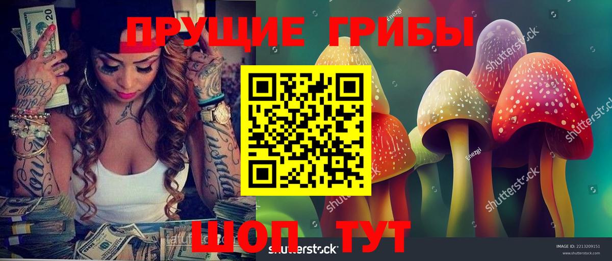 Галлюциногенные грибы Magic Shrooms Сургут